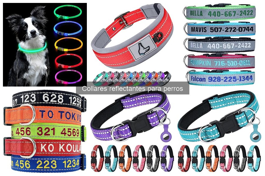 Collares reflectantes para perros grandes y pequeños: comparativa