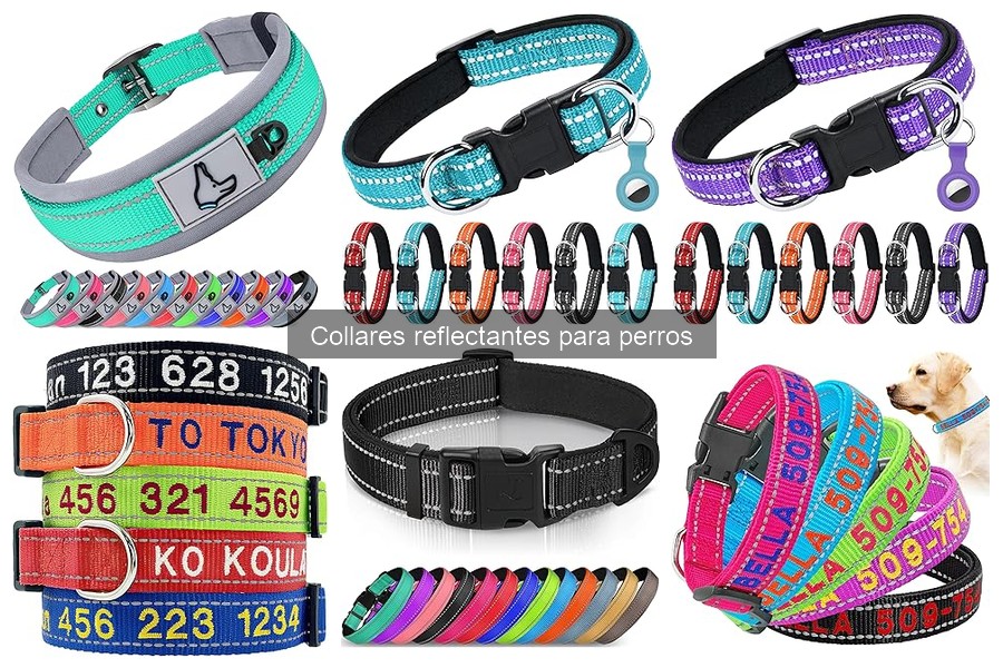 Collares Reflectantes para Perros: ¿Qué Son y Sus Características?