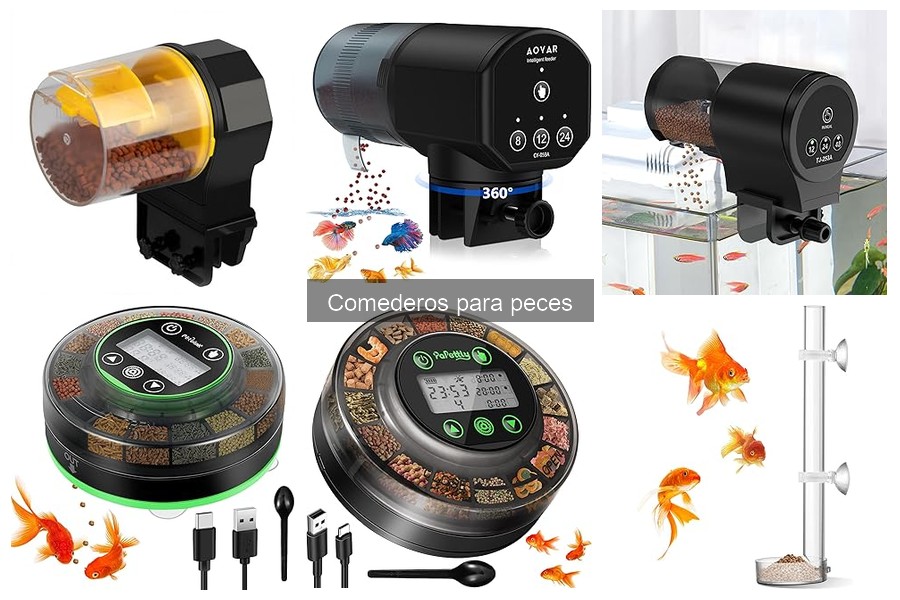 Comederos Automáticos para Peces: ¿Qué Son y Cómo Funcionan?
