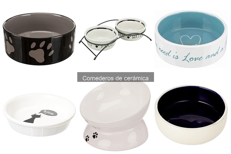 Comederos de cerámica vs. de vidrio: ¿cuál elegir para tu mascota?