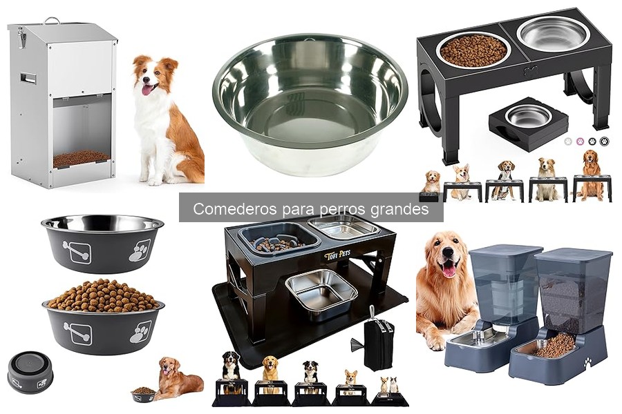 Comederos de Plástico para Perros Grandes: ¿Son Seguros?