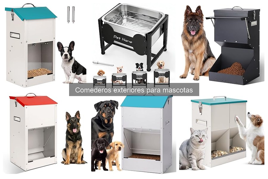 Comederos exteriores para gatos: ¿Qué considerar al elegir?