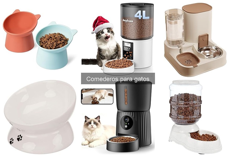 Comederos para gatos con movilidad reducida: mejores opciones