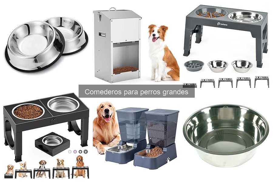Comederos para Perros Grandes: ¿Qué Características Buscar?