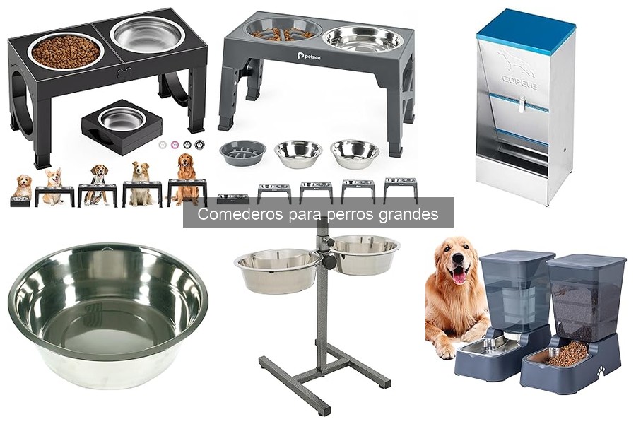 Comederos para perros grandes que mejoran la digestión