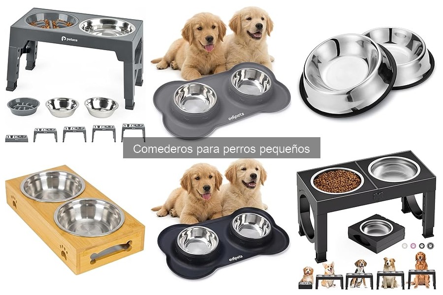 Comederos para perros pequeños que evitan el desbordamiento