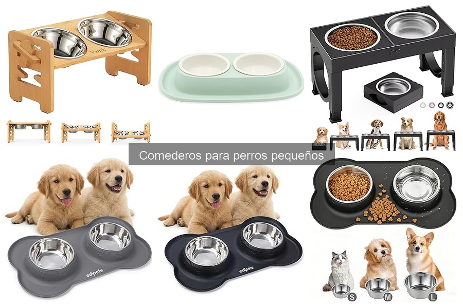 Comederos recomendados para perros pequeños ansiosos