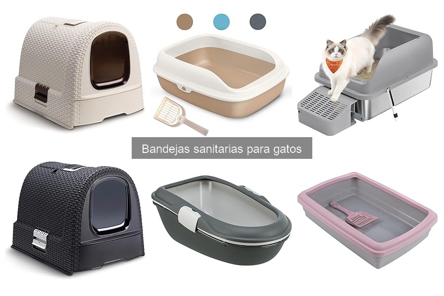 Cómo acostumbrar a tu gato a su nueva bandeja sanitaria