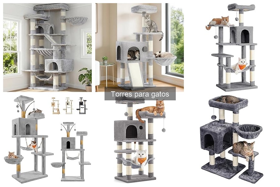 Cómo acostumbrar a tu gato a usar la torre: consejos útiles
