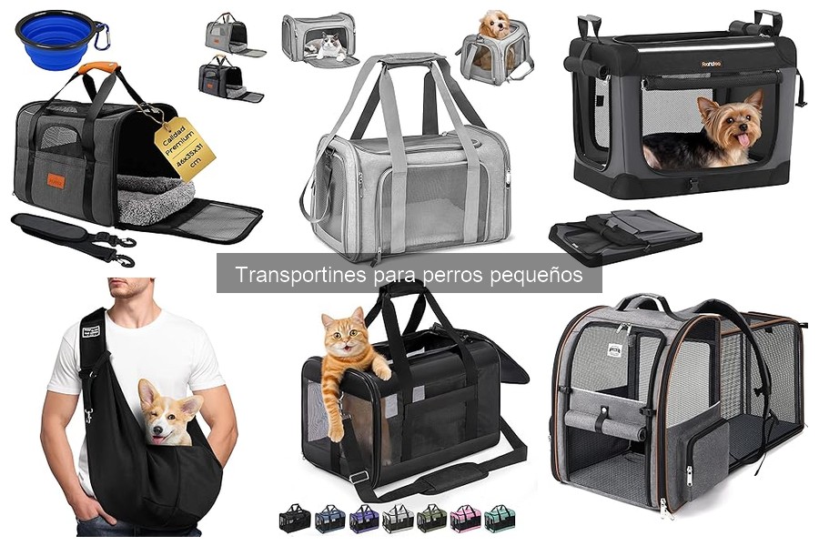 Cómo acostumbrar a tu perro pequeño a su transportín