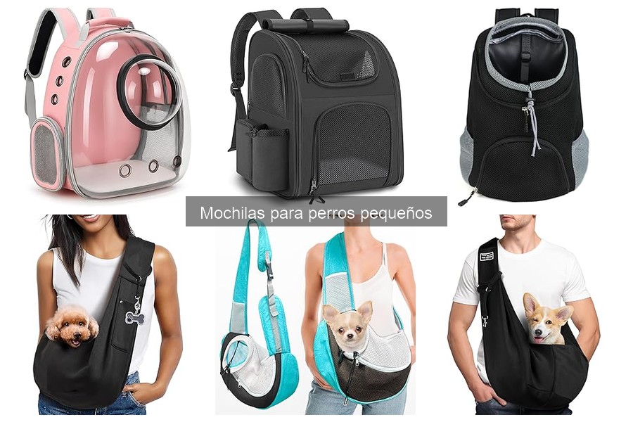 Cómo Ajustar Correctamente una Mochila para Perros Pequeños
