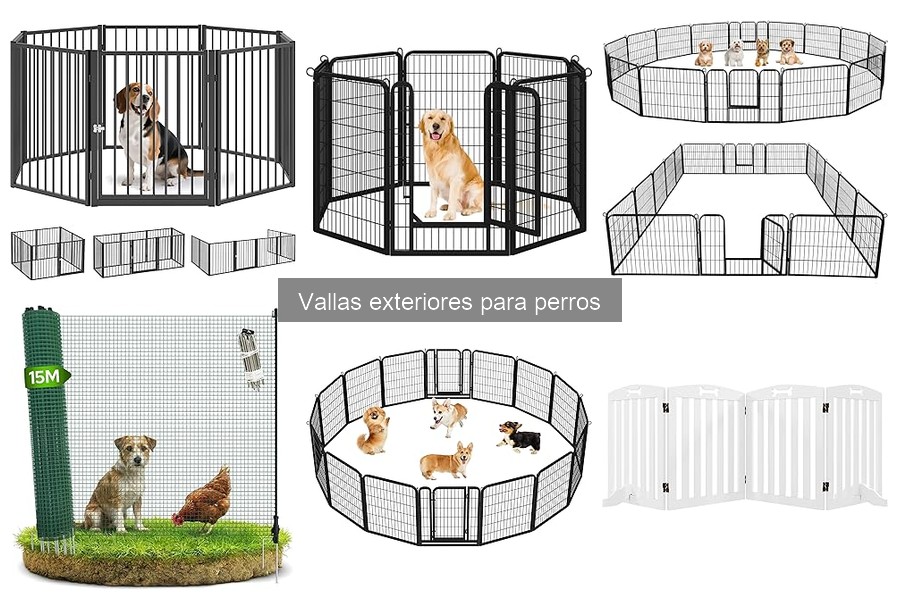 Cómo asegurar a tu perro con vallas exteriores efectivas