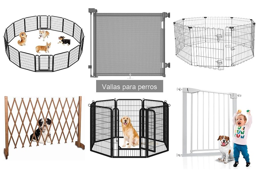 Cómo ayudar a tu perro a acostumbrarse a una nueva valla