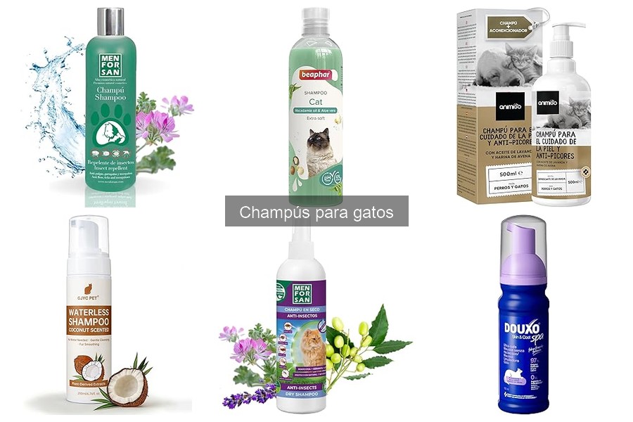 Cómo Bañar a un Gato: Técnica y Consejos Prácticos