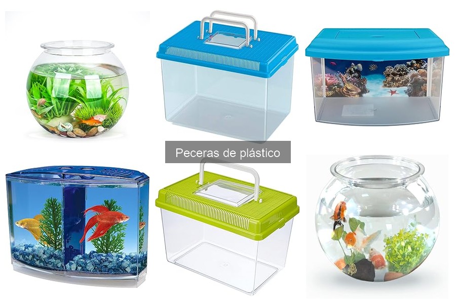 Cómo configurar una pecera de plástico para principiantes