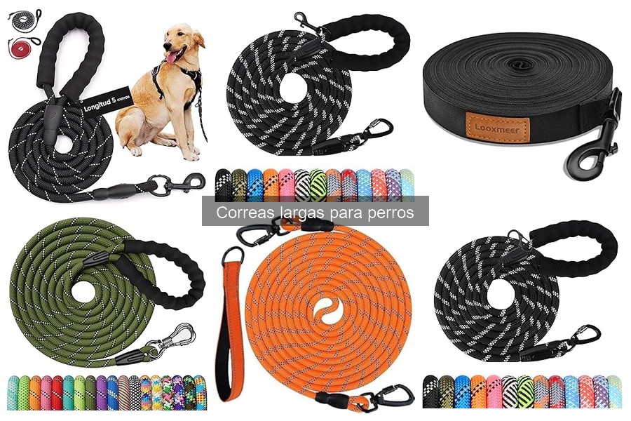 Cómo cuidar y limpiar correas largas para perros