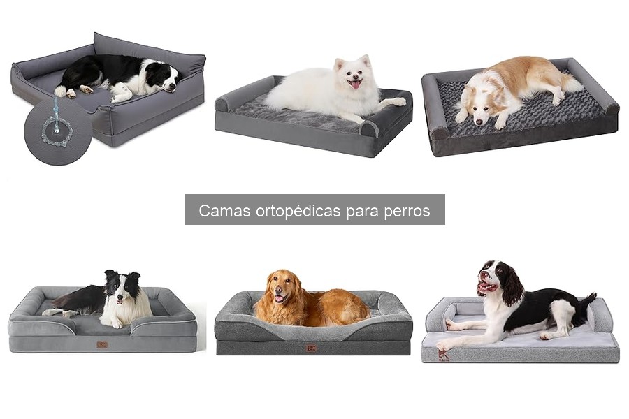 Cómo cuidar y mantener camas ortopédicas para perros