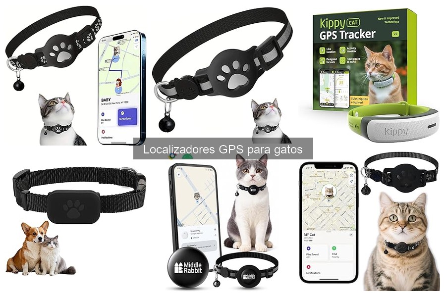Cómo cuidar y mantener un localizador GPS para gatos