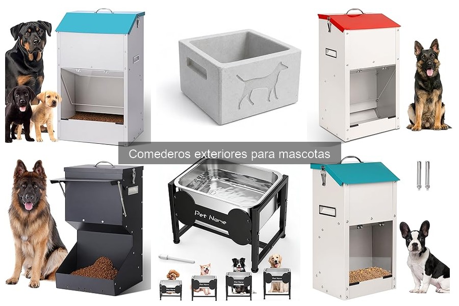 Cómo Elegir Comederos Exteriores Resistentes a Climas