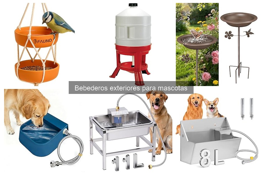 Cómo elegir el bebedero exterior ideal para tu mascota
