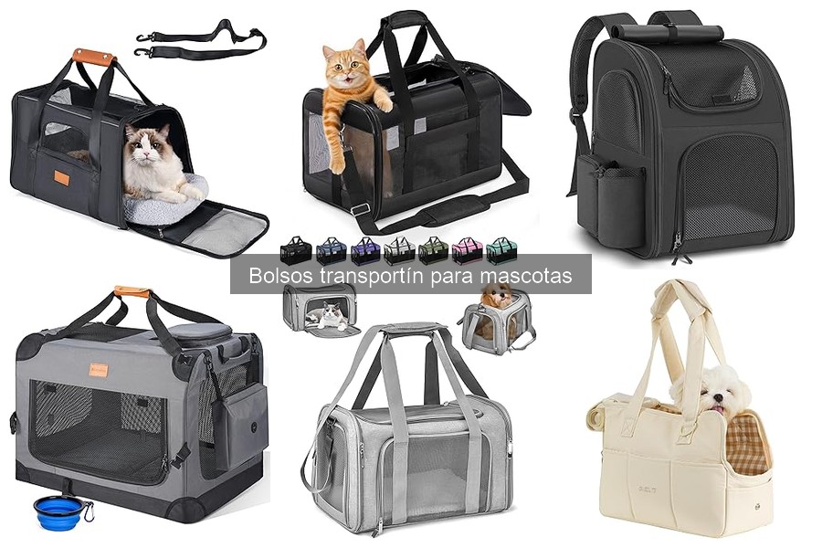 Cómo elegir el bolso transportín ideal para tu mascota