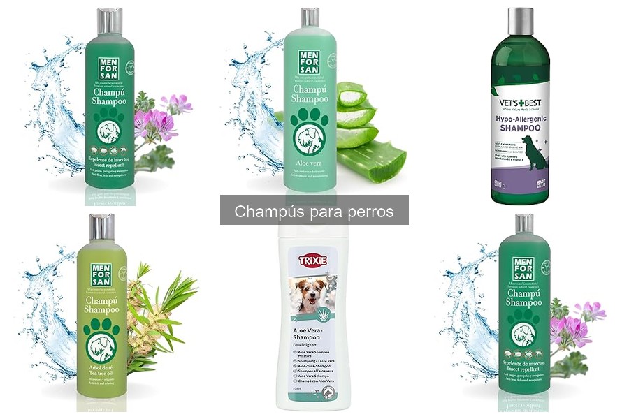 Cómo Elegir el Champú Ideal para tu Perro: Guía de Compra