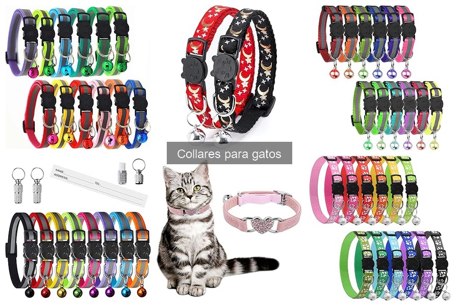 Cómo elegir el collar ideal para tu gato: guía de compra
