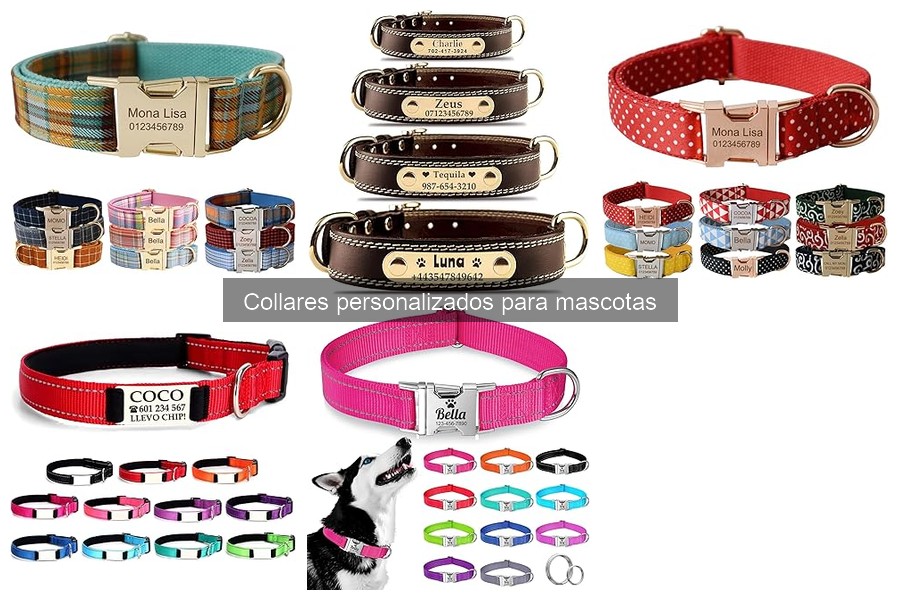 Cómo elegir el collar personalizado ideal para tu mascota