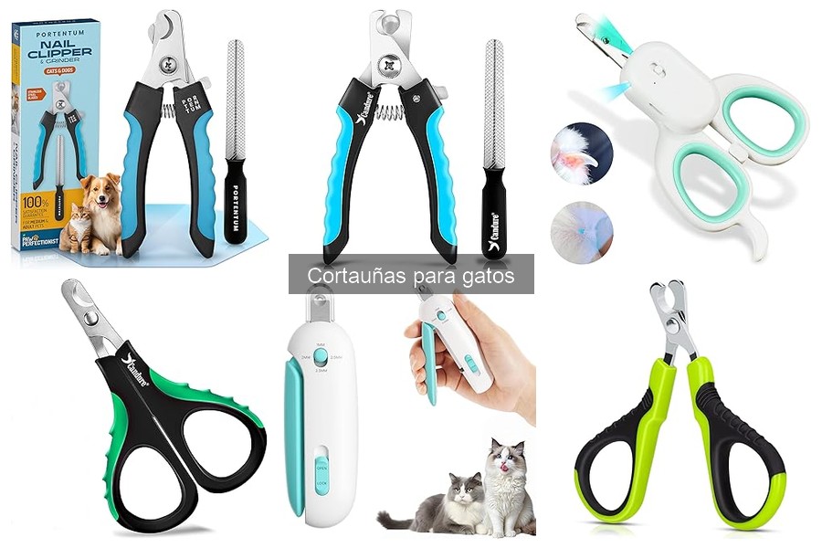 Cómo elegir el cortauñas adecuado para tu gato
