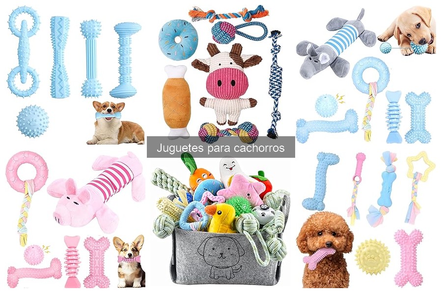 Cómo elegir el juguete ideal para tu cachorro: guía práctica