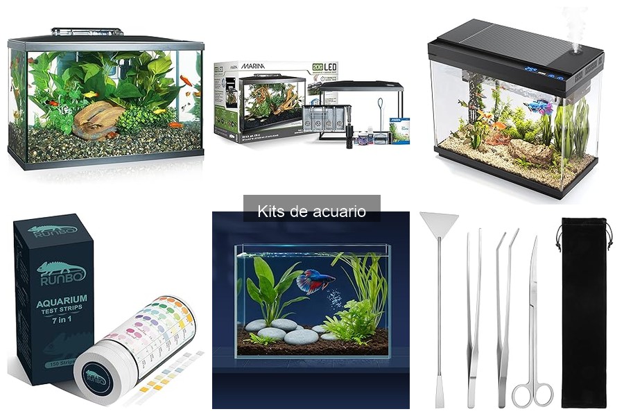Cómo elegir el kit de acuario adecuado para tu hogar