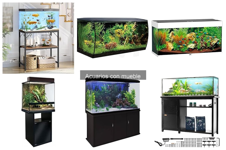 Cómo elegir el mejor acuario con mueble para tu hogar