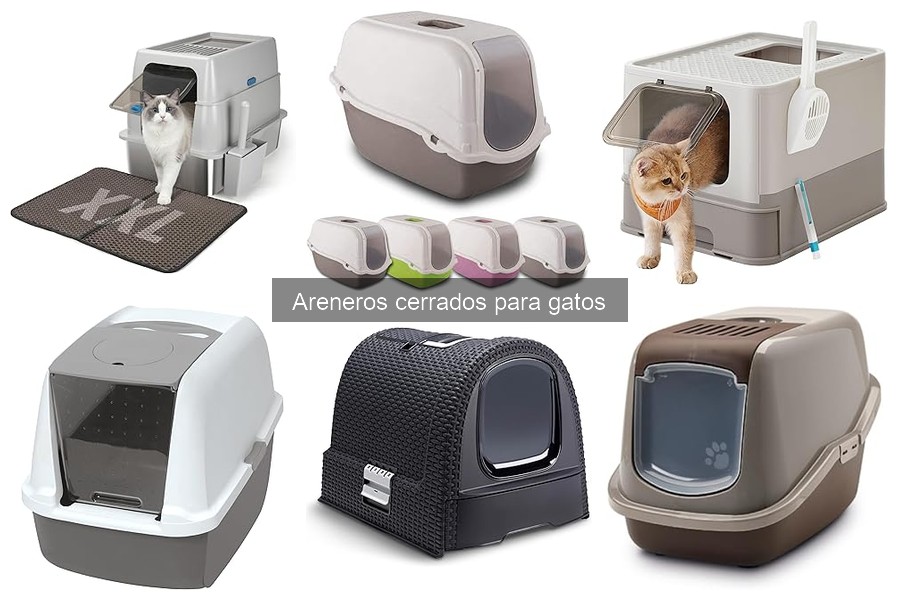 Cómo elegir el mejor arenero cerrado para tu gato