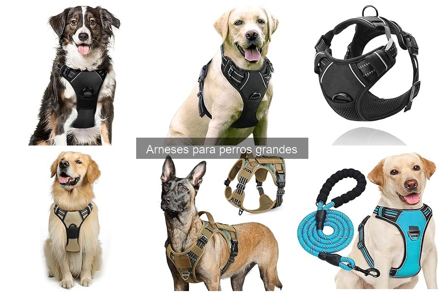 Cómo elegir el mejor arnés para perros grandes en 2023