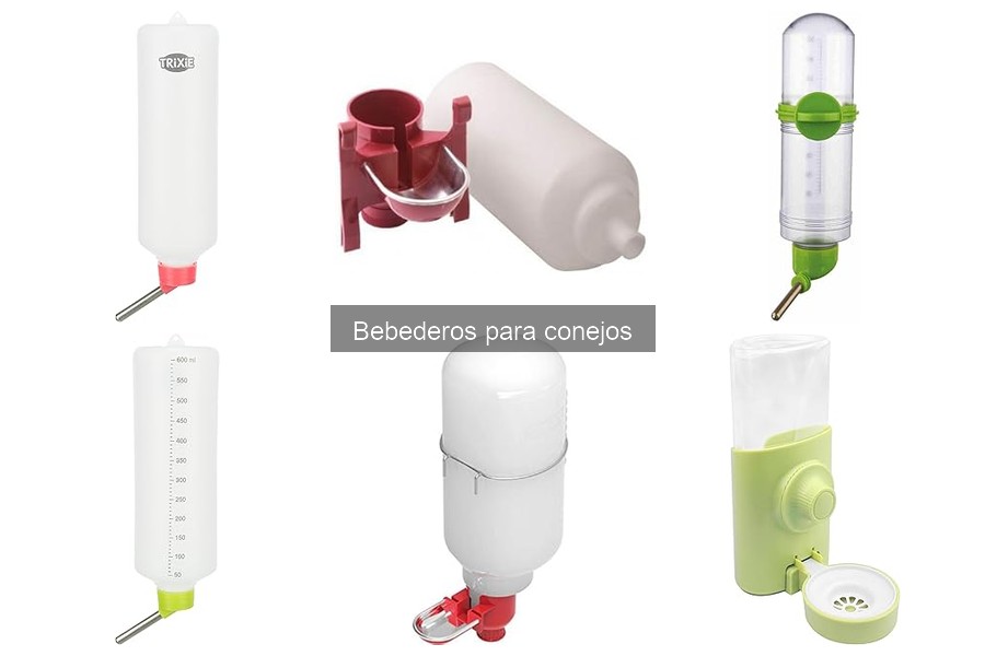 Cómo elegir el mejor bebedero para conejos: Guía útil