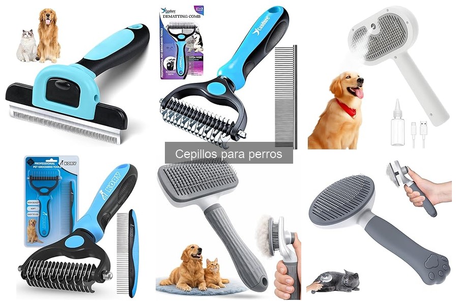 Cómo elegir el mejor cepillo para tu perro: guía de compra