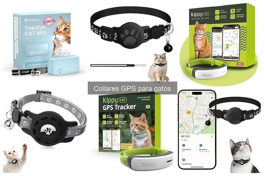 Cómo elegir el mejor collar GPS para tu gato