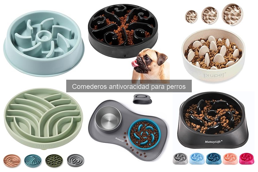 Cómo elegir el mejor comedero antivoracidad para perros