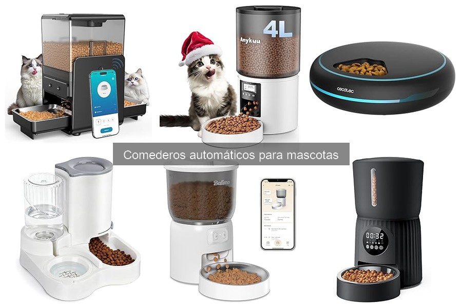 Cómo elegir el mejor comedero automático para tu mascota