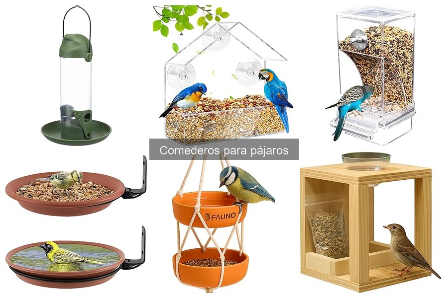 Cómo elegir el mejor comedero para pájaros: guía práctica