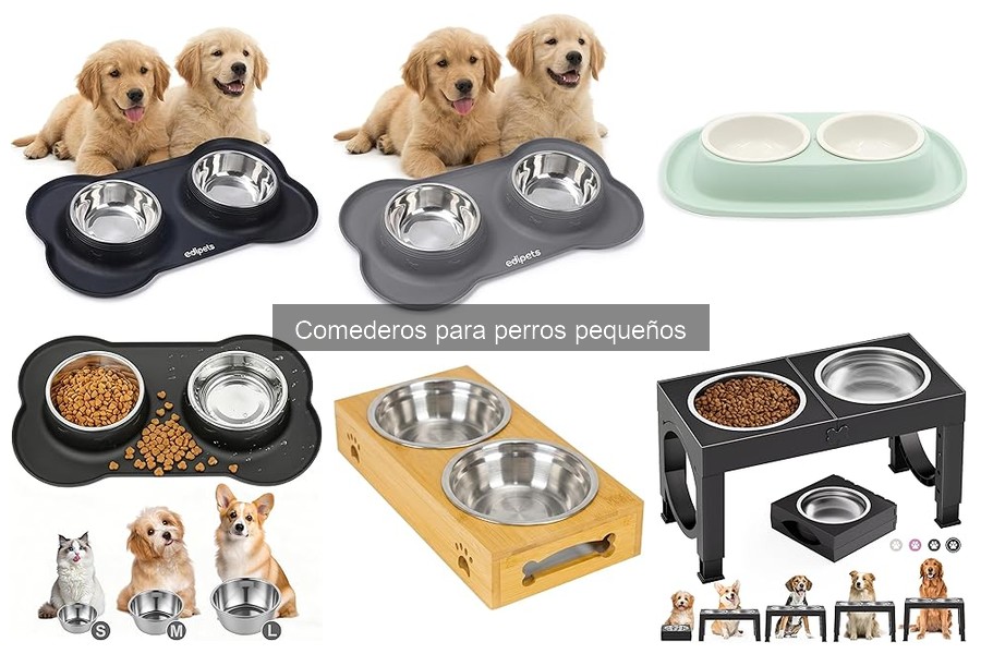 Cómo elegir el mejor comedero para perros pequeños