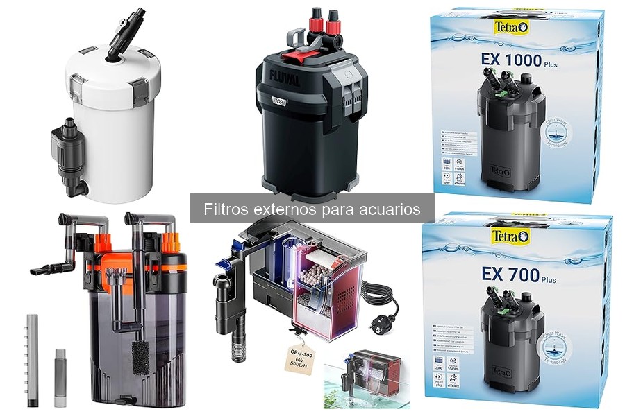 Cómo elegir el mejor filtro externo para tu acuario