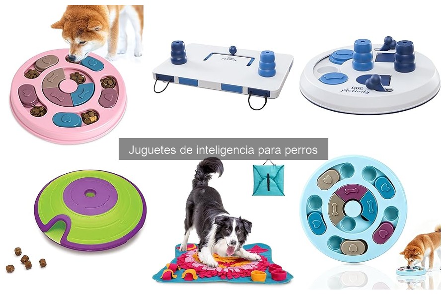 Cómo elegir el mejor juguete de inteligencia para perros