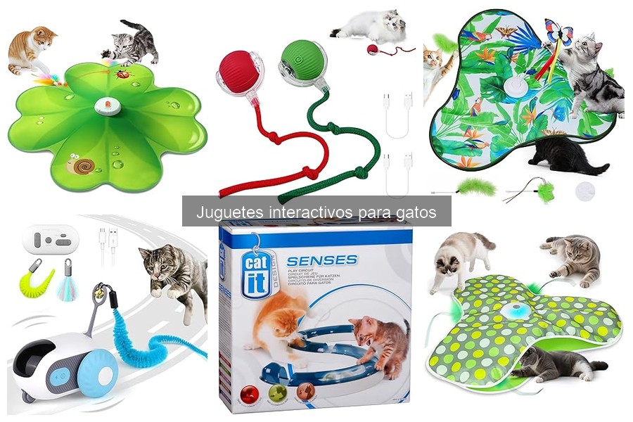 Cómo elegir el mejor juguete interactivo para tu gato