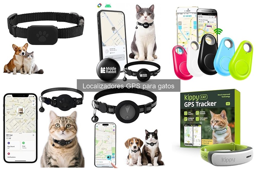 Cómo elegir el mejor localizador GPS para gatos