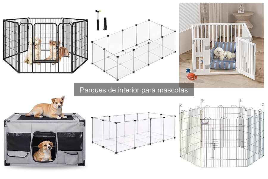 Cómo elegir el mejor parque de interior para mascotas