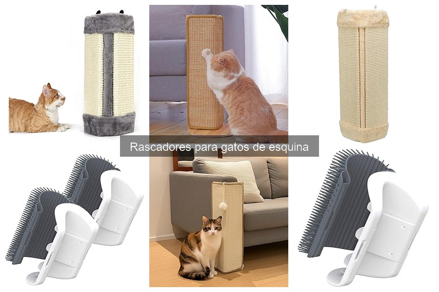 Cómo elegir el mejor rascador de esquina para gatos