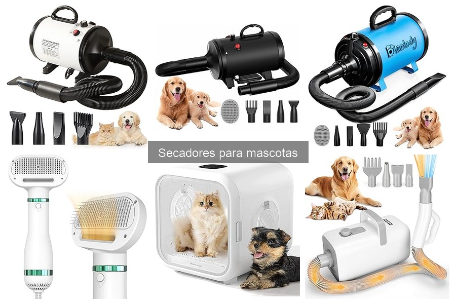 Cómo elegir el mejor secador para mascotas en 2023