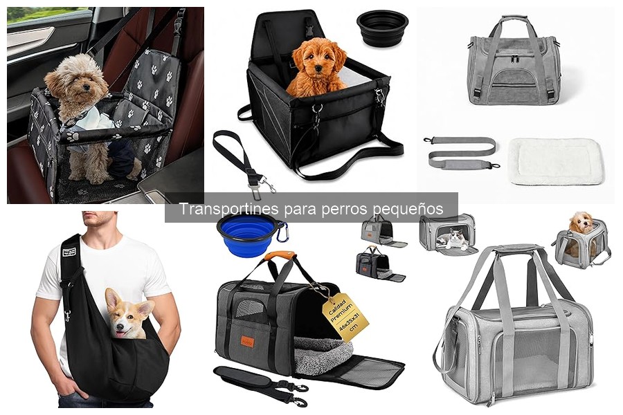 Cómo elegir el mejor transportín para perros pequeños