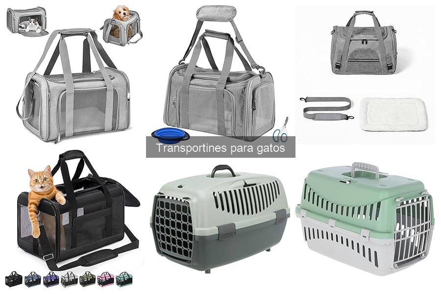 ¿Cómo elegir el mejor transportín para tu gato?
